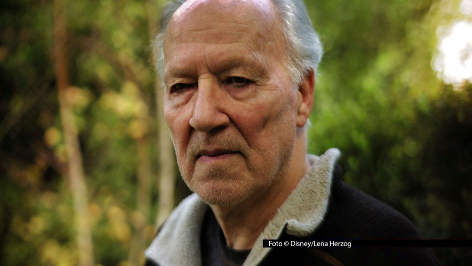 Als Regisseur, Drehbuchautor und Sprecher zeichnet Werner Herzog für „Ghost Elephants – Die Geister im Hochland Angolas“ verantwortlich. Nun ist der rund 100-minütige Dokumentarfilm erstmals im deutschen TV zu sehen: National Geographic WILD strahlt ihn am 8. März aus. Foto © Disney/Lena Herzog