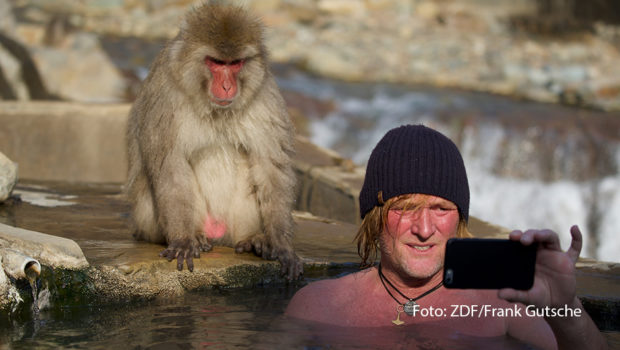 In ihrer ARD-Talkshow begrüßt Sandra Maischberger am 20. Juni u.a. Andreas Kieling. Nachdem der Tierfilmer vor wenigen Wochen in Rumänien Opfer eines Bärenangriffs wurde, berichtet er über diesen Unfall und erklärt, warum das Tier keine Schuld trifft. (Foto: ZDF/Frank Gutsche)