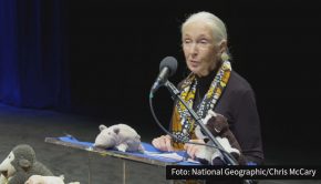 Mit einem umfangreichen Programm auf verschiedenen Plattformen begeht National Geographic heute den Earth Day. Prominente wie Primatenforscherin Jane Goodall, Filmemacher James Cameron, Musiker Willie Nelson und Schauspielerin Sigourney Weaver sind involviert.