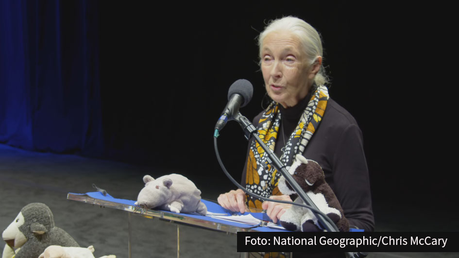 Mit einem umfangreichen Programm auf verschiedenen Plattformen begeht National Geographic heute den Earth Day. Prominente wie Primatenforscherin Jane Goodall, Filmemacher James Cameron, Musiker Willie Nelson und Schauspielerin Sigourney Weaver sind involviert.