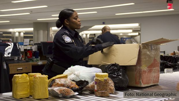 Ab dem heutigen 25. März zeigt National Geographic neue Folgen von „Schmugglern auf der Spur“. Dokumentiert wird die Arbeit der amerikanischen Zoll- und Grenzschutzbehörde, die an US-Flughäfen gegen Drogenschmuggel, Waffenschieberei und illegale Geldtransporte vorgeht. (Foto: National Geographic)