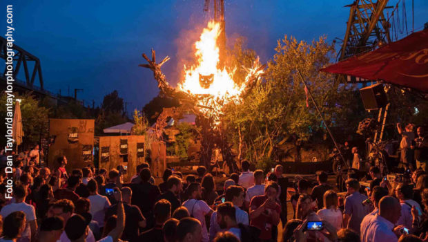 Foto: Dan Taylor/dantaylorphotography.com