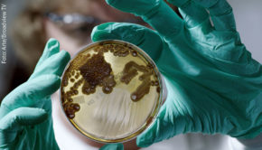 Die zunehmende Verbreitung von Keimen, gegen die es keine wirksamen Medikamente gibt, betrachten Ärzte und Wissenschaftler als große Herausforderung. Der Dokumentarfilm „Resistance Fighters“, den Arte heute ausstrahlt, widmet sich dem Kampf gegen die Antibiotikaresistenz. (Foto: Arte/Broadview TV)