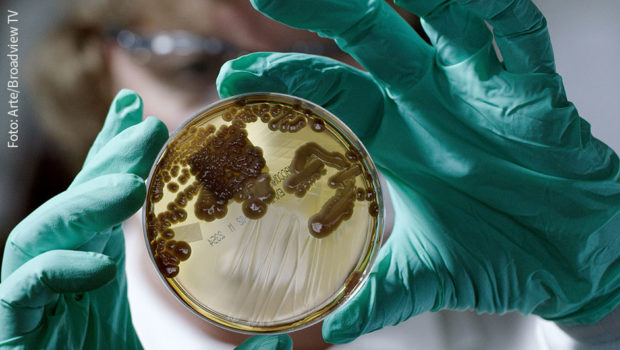 Die zunehmende Verbreitung von Keimen, gegen die es keine wirksamen Medikamente gibt, betrachten Ärzte und Wissenschaftler als große Herausforderung. Der Dokumentarfilm „Resistance Fighters“, den Arte heute ausstrahlt, widmet sich dem Kampf gegen die Antibiotikaresistenz. (Foto: Arte/Broadview TV)