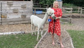 Das Gute liegt manchmal näher, als man denkt: Gestern besuchte Ruth Moschner in Castrop-Rauxel eine Alpaka-Farm und eröffnete die Facebook-Aktion „Gute Route“. Im Rahmen dieser virtuellen Deutschland-Tour bekommen User Tipps für nachhaltige Ausflugsziele fernab ausgetrampelter Touristenpfade. (Foto: smalltalk/L. Rothländer)