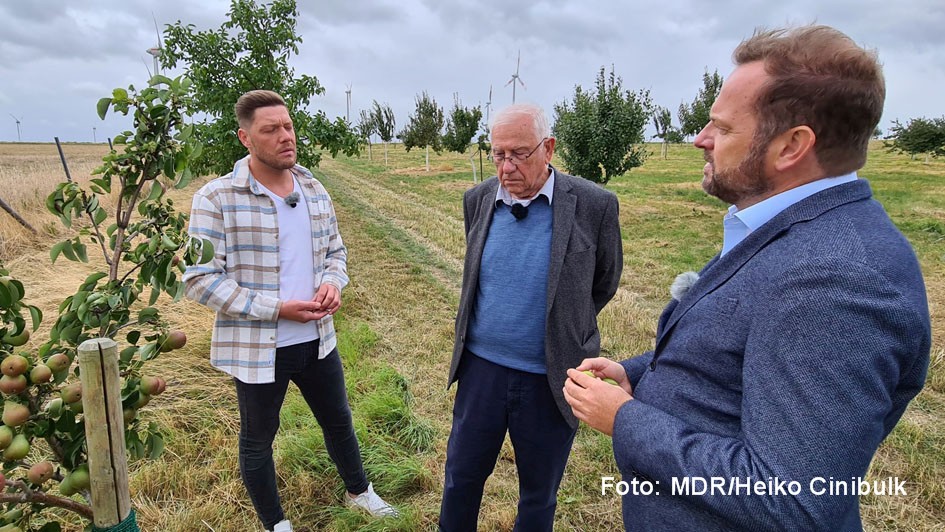 Stadt, Land, Pietsch_2021_Robin Pietsch mit Hans-Günter und Thomas Demmel auf der Obstplantage_Foto MDR_Heiko Cinibulk