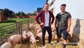 Auf seinem Hof in Müncheroda führt Landwirt Frank Schneider einen modernen Schweinezuchtbetrieb. Sternekoch Robin Pietsch stattete ihm für sein Reportage-Format „Stadt, Land, Pietsch“ im MDR Fernsehen einen Besuch ab. (Foto: MDR/Heiko Cinibulk)