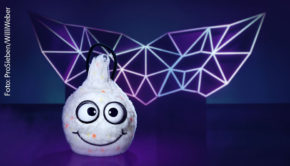 Foto: ProSieben/Willi Weber