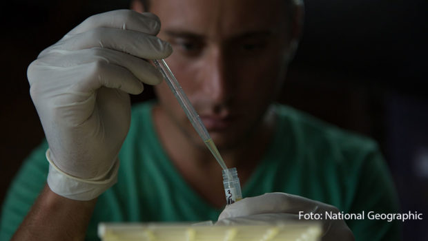 Mit der neuen Dokumentation „Die Virus-Jäger“ zeigt National Geographic, wie groß die Gefahr weiterer Pandemien ist. Der Film begleitet Wissenschaftler, die in Risikogebieten rund um den Globus dem Coronavirus auf der Spur sind und zudem andere Erreger untersuchen. (Foto: National Geographic)