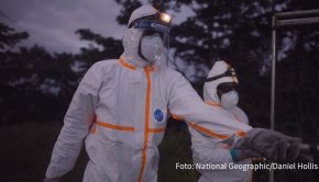 Im vergangenen Sommer ist die aktuelle Corona-Dokumentation „Die Virus-Jäger“ entstanden. National Geographic zeigt den Film von Christopher Golden und James Longman am Sonntag in deutscher Erstausstrahlung. (Foto: National Geographic/Daniel Hollis)