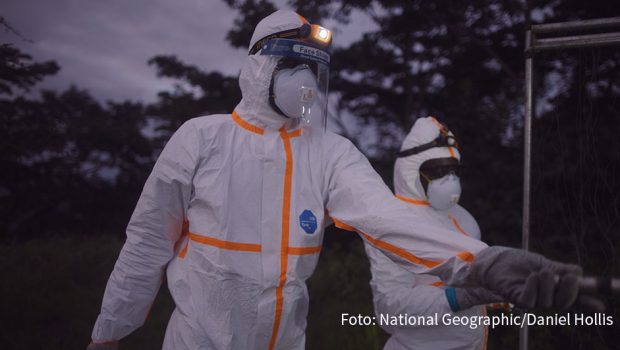 Im vergangenen Sommer ist die aktuelle Corona-Dokumentation „Die Virus-Jäger“ entstanden. National Geographic zeigt den Film von Christopher Golden und James Longman am Sonntag in deutscher Erstausstrahlung. (Foto: National Geographic/Daniel Hollis)
