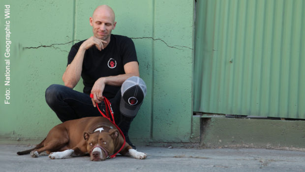 Foto: National Geographic Wild